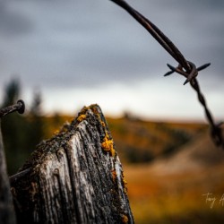 Post in Fall Hi Res   A3